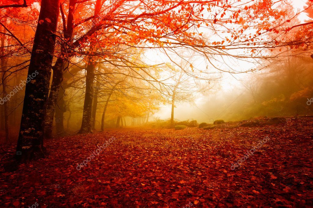 depositphotos_23425736-stockafbeelding-herfst